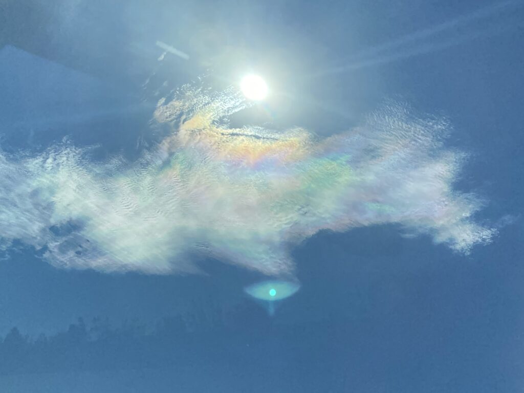Das Licht